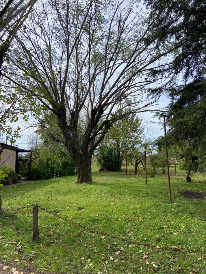 5 hectareas con Casa 3 ambientes y molino 