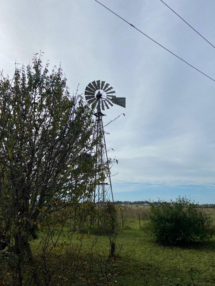 5 hectareas con Casa 3 ambientes y molino 