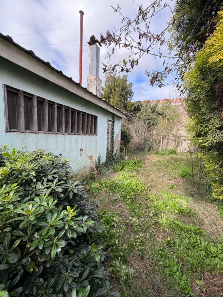 Casa 3 amb a reciclar Z/ Bosque Alegre 