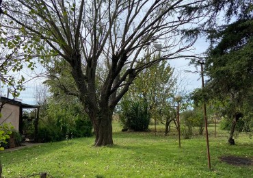 5 hectareas con Casa 3 ambientes y molino 