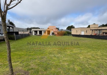 Venta lote Rumenco joven 