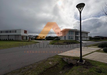 Venta lote Rumenco joven 
